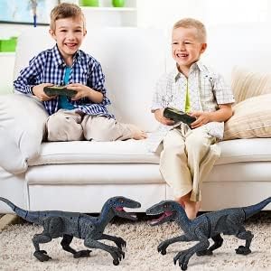 Remote Control Dinosaur Toys