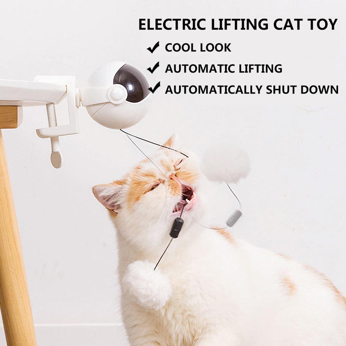Automatic Pet Teasing