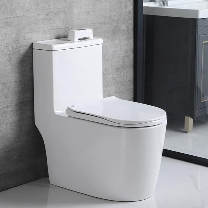 Smart Toilet Induction Flush
