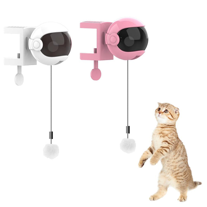 Automatic Pet Teasing