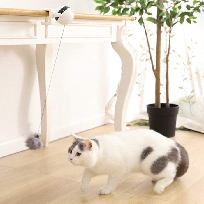 Automatic Pet Teasing