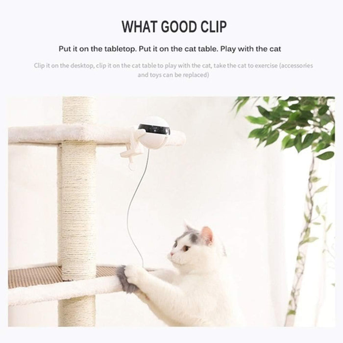 Automatic Pet Teasing