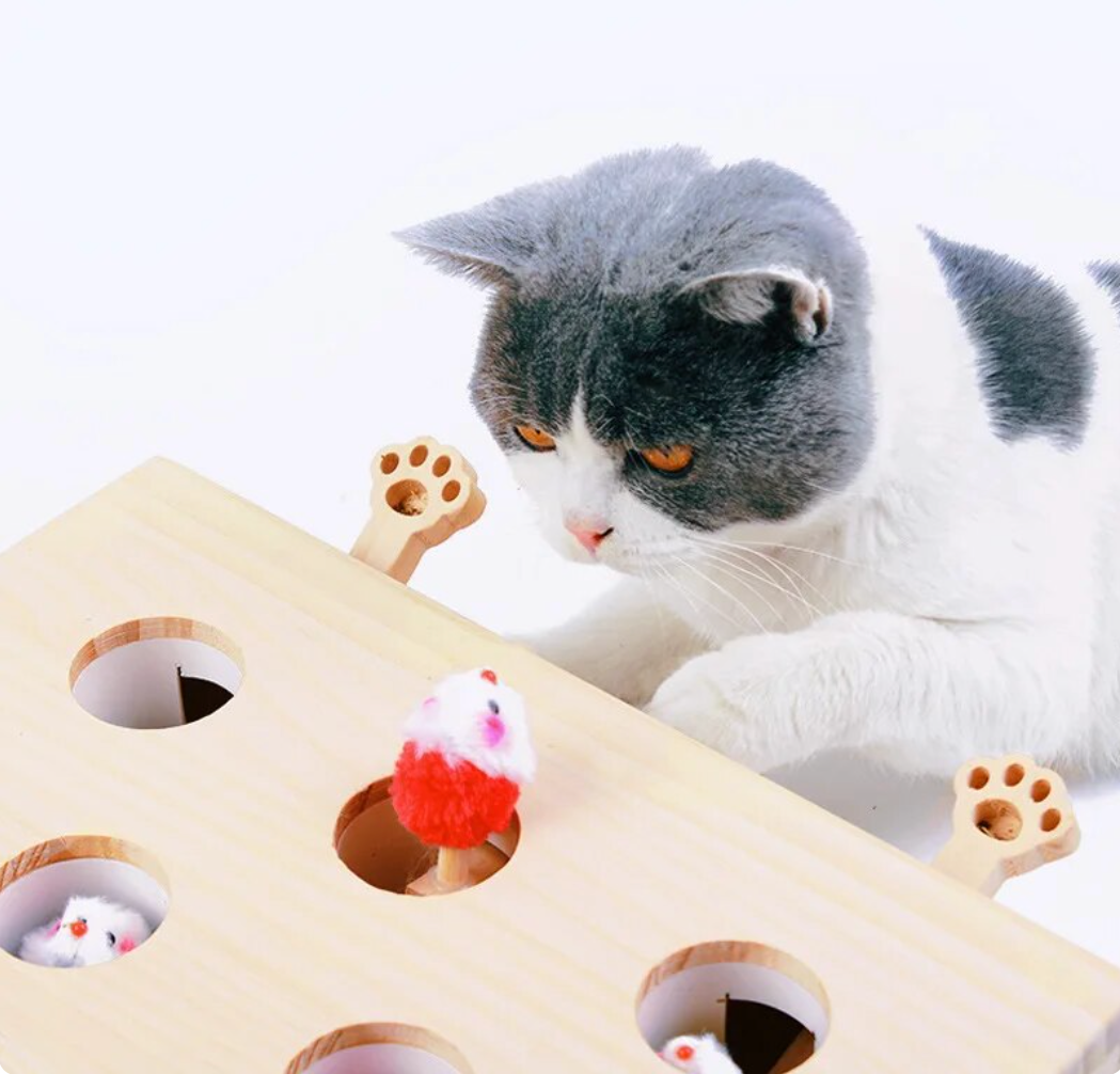 Cat Interactive Wooden Toys Whack