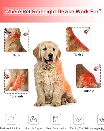 Infrared LED Flashlight for Pain Relief