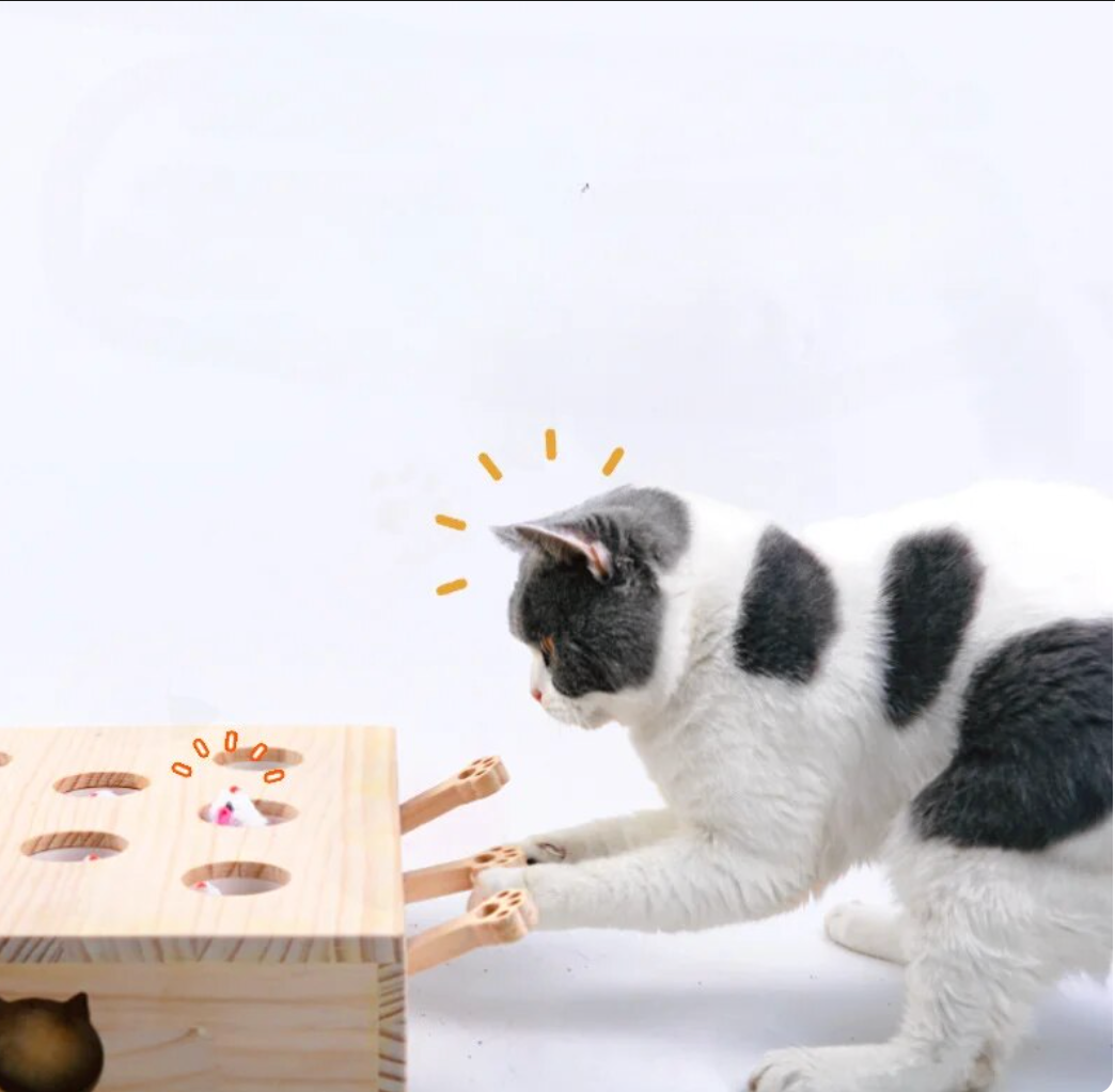 Cat Interactive Wooden Toys Whack