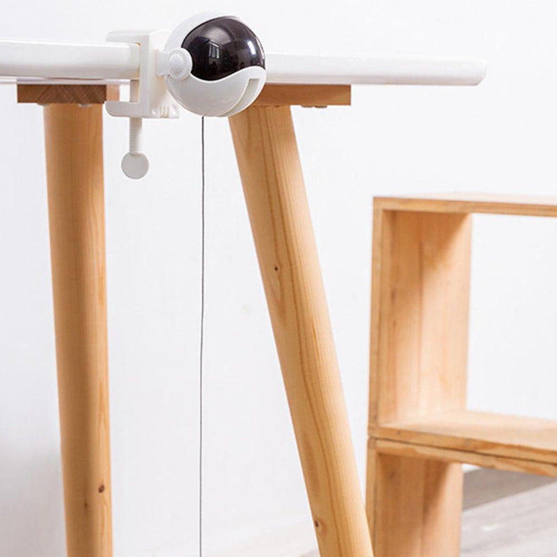 Taquinerie automatique pour animaux de compagnie