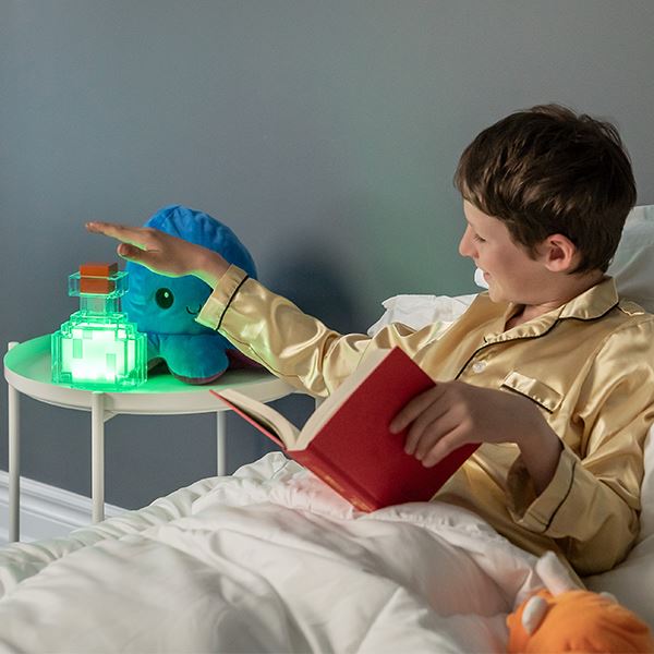 Minecraft LED Light