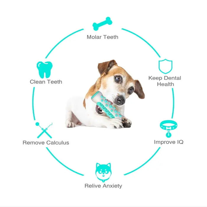 ChewWhiz - Dog Molar Toothbrush Toys